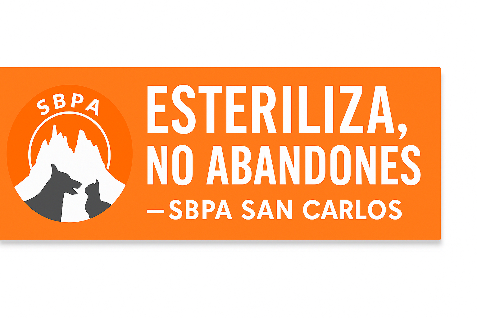 HOME - SBPA San Carlos, image size:1536x1024